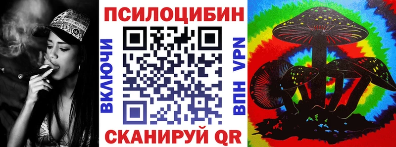 как найти закладки Кадников Галлюциногенные грибы Psilocybine cubensis