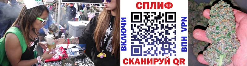 mega как зайти  Кадников  Шишки марихуана гибрид 